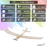 Dancing Wings 2.5m EP Glider Aion Balsa RC Plane Kit (Motor,ESC,Servos Included)