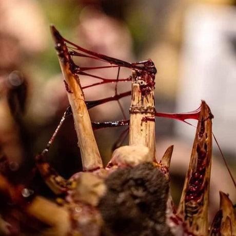 Dirty Down - Gore 15ml - Hobbytech Toys