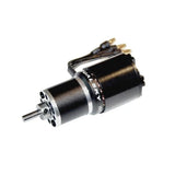 Dualsky XM2838EG - 14L Brushless Glider Motor - Hobbytech Toys