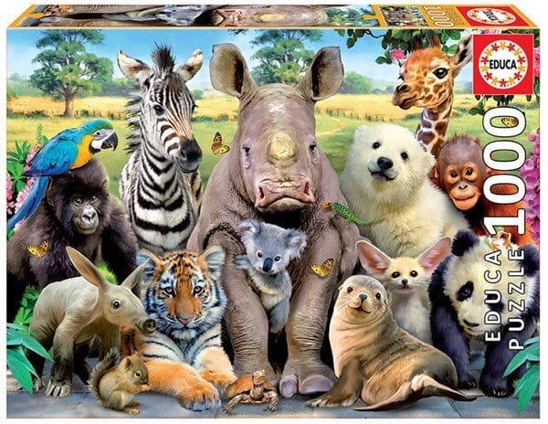 Educa Its A Class Photo 1000pc Puzzle - Hobbytech Toys