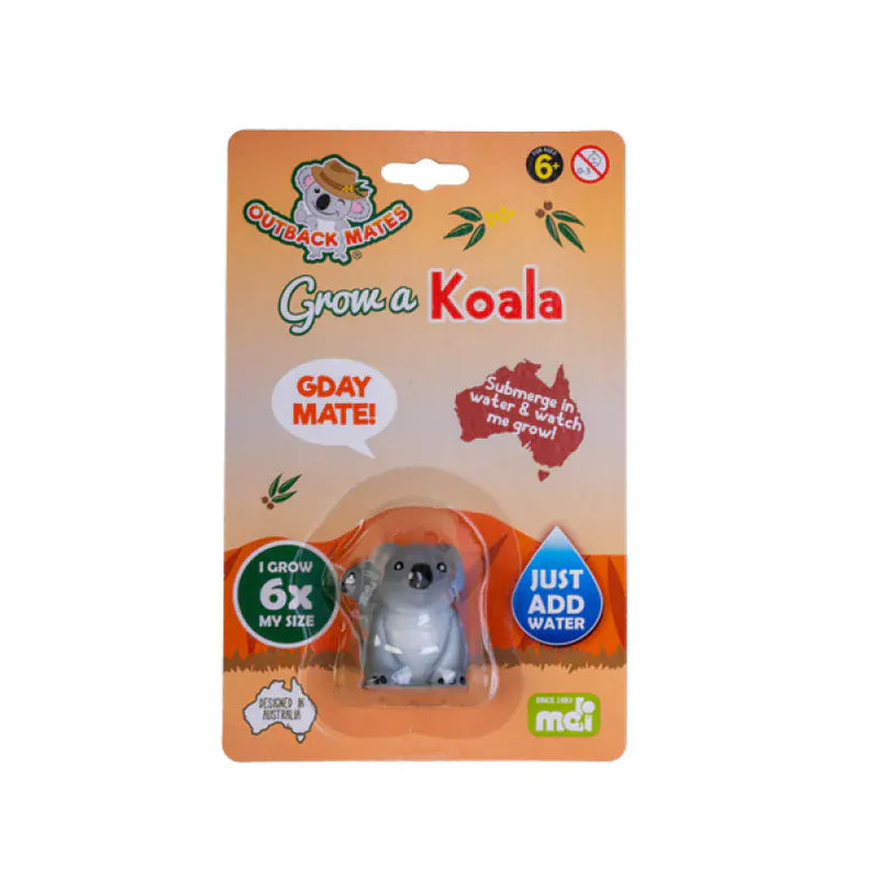 Grow A Koala - Assorted (1)