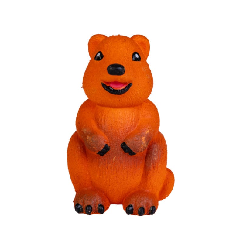 Grow A Quokka - Assorted (1)