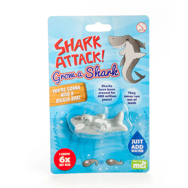 Grow A Shark - Assorted (1)