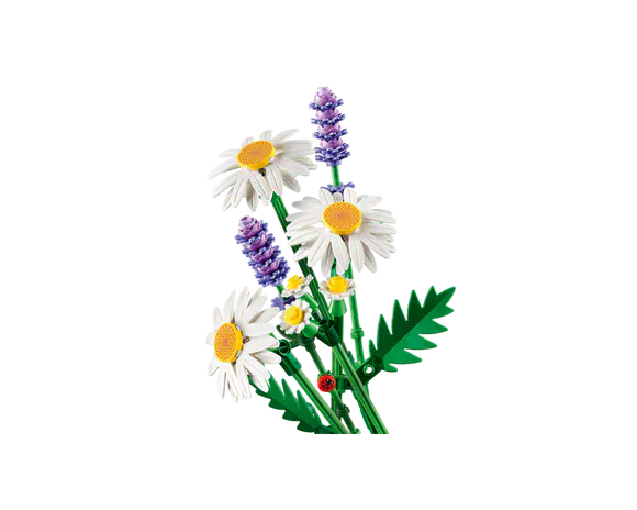 LEGO Botanicals: Daisies [11508]