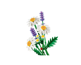 LEGO Botanicals: Daisies [11508]