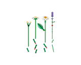 LEGO Botanicals: Daisies [11508]