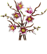 LEGO Botanicals: Magnolia Branches [11510]