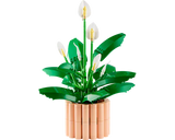 LEGO Botanicals: Peace Lily [11504]
