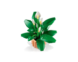 LEGO Botanicals: Peace Lily [11504]