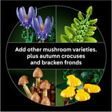 LEGO Botanicals - Woodland Mushrooms [11505]