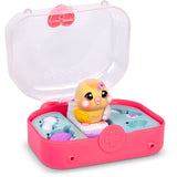 Little Live Pets Ouchies - Assorted (1)