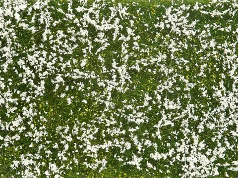 Noch Groundcover Foliage Meadow White [07256]