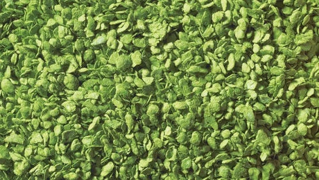 Noch Leaves Light Green 100g [07152] - Hobbytech Toys