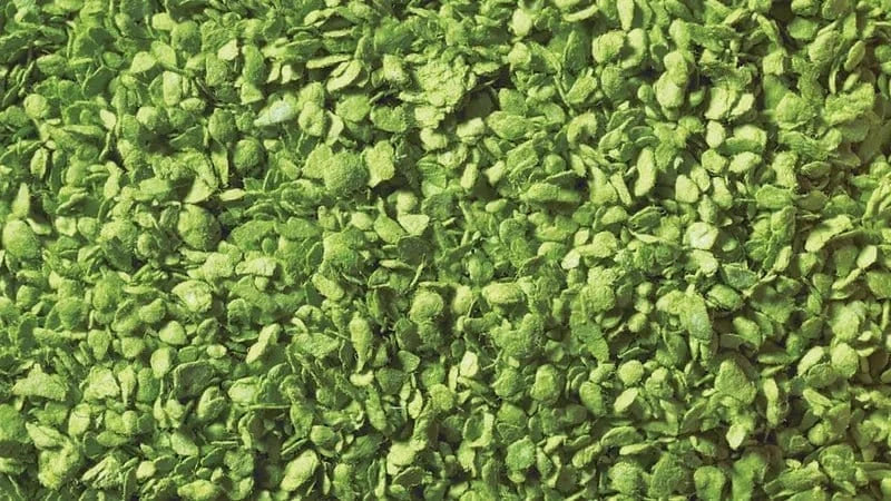 Noch Leaves Light Green 50g [07142] - Hobbytech Toys