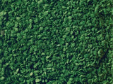 Noch Leaves Medium Green 50g [07144] - Hobbytech Toys