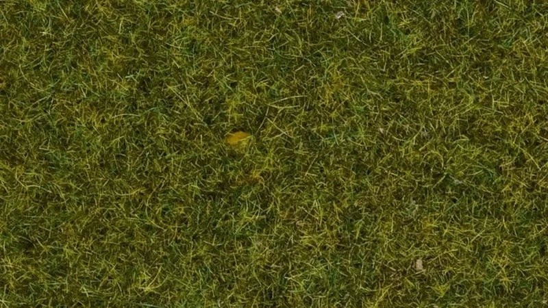 Noch Scatter Grass - Meadow 4mm 20g [08361] - Hobbytech Toys