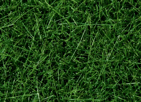 Noch Wild Grass - Dark Green 6mm 100g [07094] - Hobbytech Toys