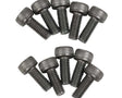 OS Engines Cover Plate Screws 10pcs