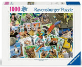 Ravensburger A Traveler's Animal Journal 1000pc Puzzle