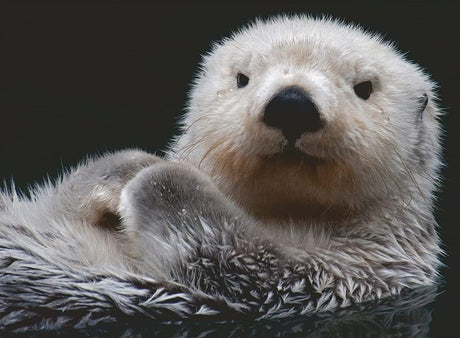 Ravensburger Adorable Little Otter 500pc Puzzle