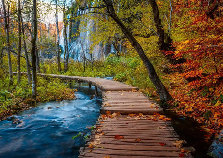 Ravensburger Autumnal Forest path 1000pc Puzzle