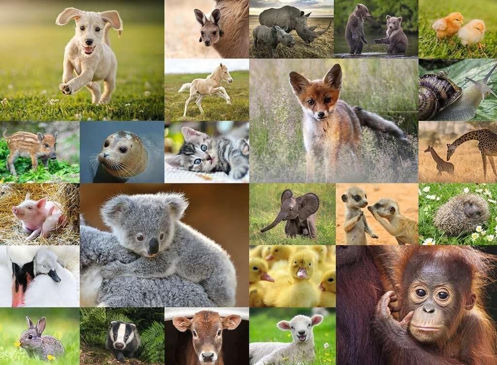Ravensburger Baby Animals 200pc Puzzle