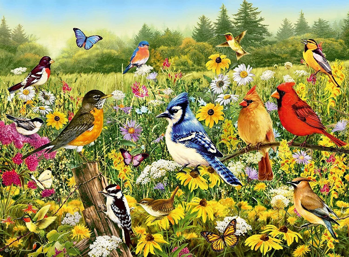 Ravensburger Birds in the Meadow 500pc Puzzle