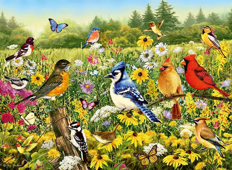 Ravensburger Birds in the Meadow 500pc Puzzle