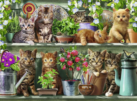 Ravensburger - Cats on the Shelf 500pc Puzzle