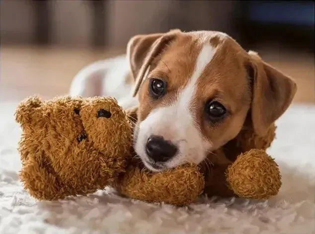 Ravensburger Cuddle Buddies 500pc Puzzle