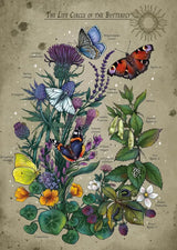 Ravensburger Lifecircle Butterfly 1000pc Puzzle