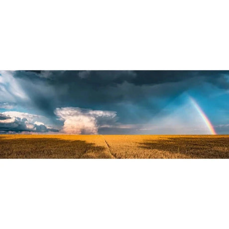 Ravensburger Mysterious Rainbow 1000pc [17493 - 5] - Hobbytech Toys