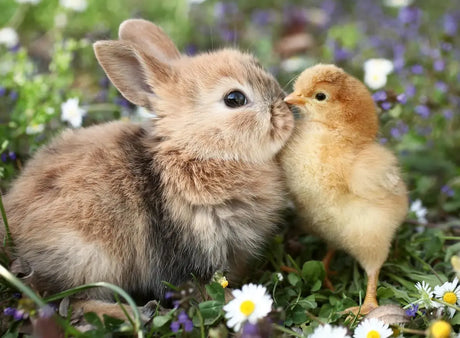 Ravensburger Rabbit and Chick 500pc Puzzle