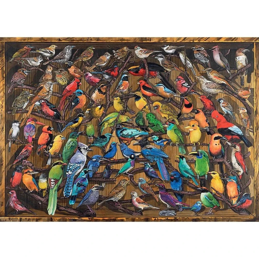 Ravensburger Rainbow of Birds 1000pc [17478 - 2] - Hobbytech Toys