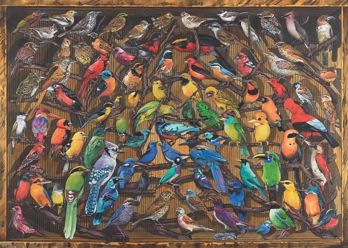 Ravensburger Rainbow of Birds 1000pc Puzzle
