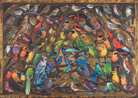 Ravensburger Rainbow of Birds 1000pc Puzzle