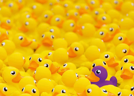 Ravensburger Rubber Ducks Challenge 1000pc Puzzle