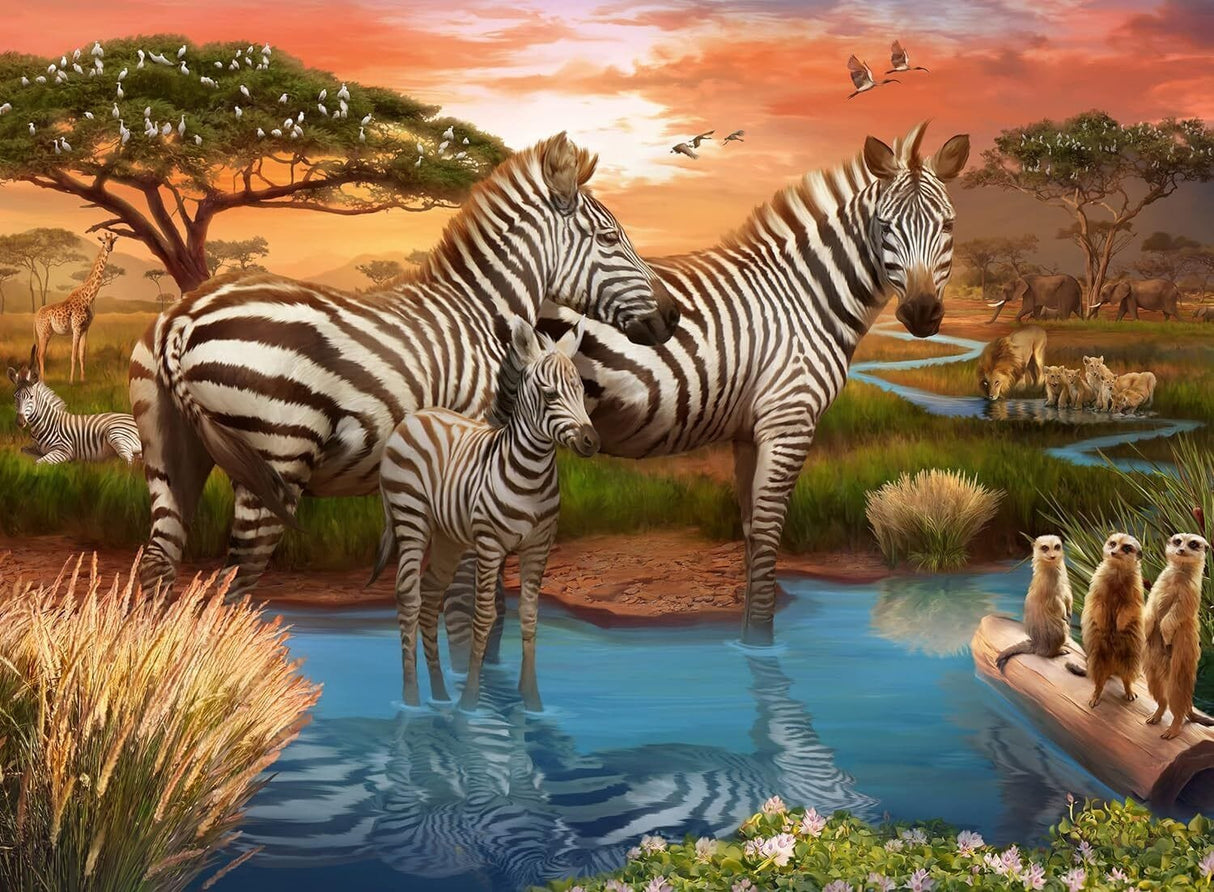 Ravensburger Zebras at Waterhole 500pc Puzzle
