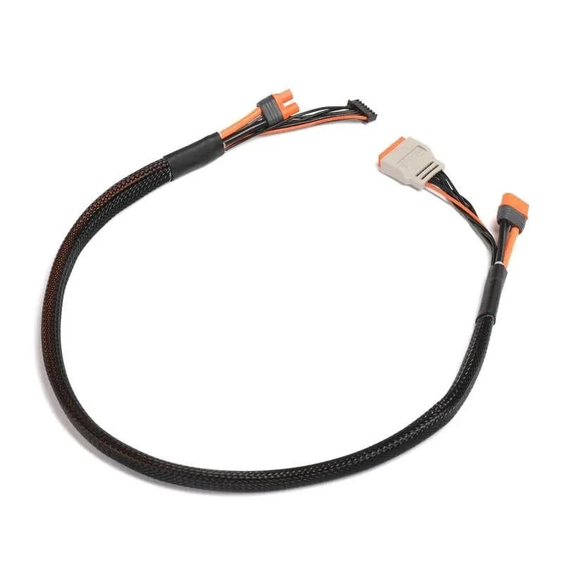 Spektrum 2 - 6S IC3 60cm Charge Lead with In - Built Balance Plug - Hobbytech Toys