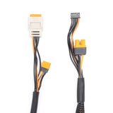 Spektrum 2 - 6S IC5 60cm Charge Lead with In - Built Balance Plug - Hobbytech Toys