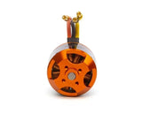 Spektrum Avian 5055 - 650Kv .60 Equivalent Brushless Outrunner Motor - Hobbytech Toys