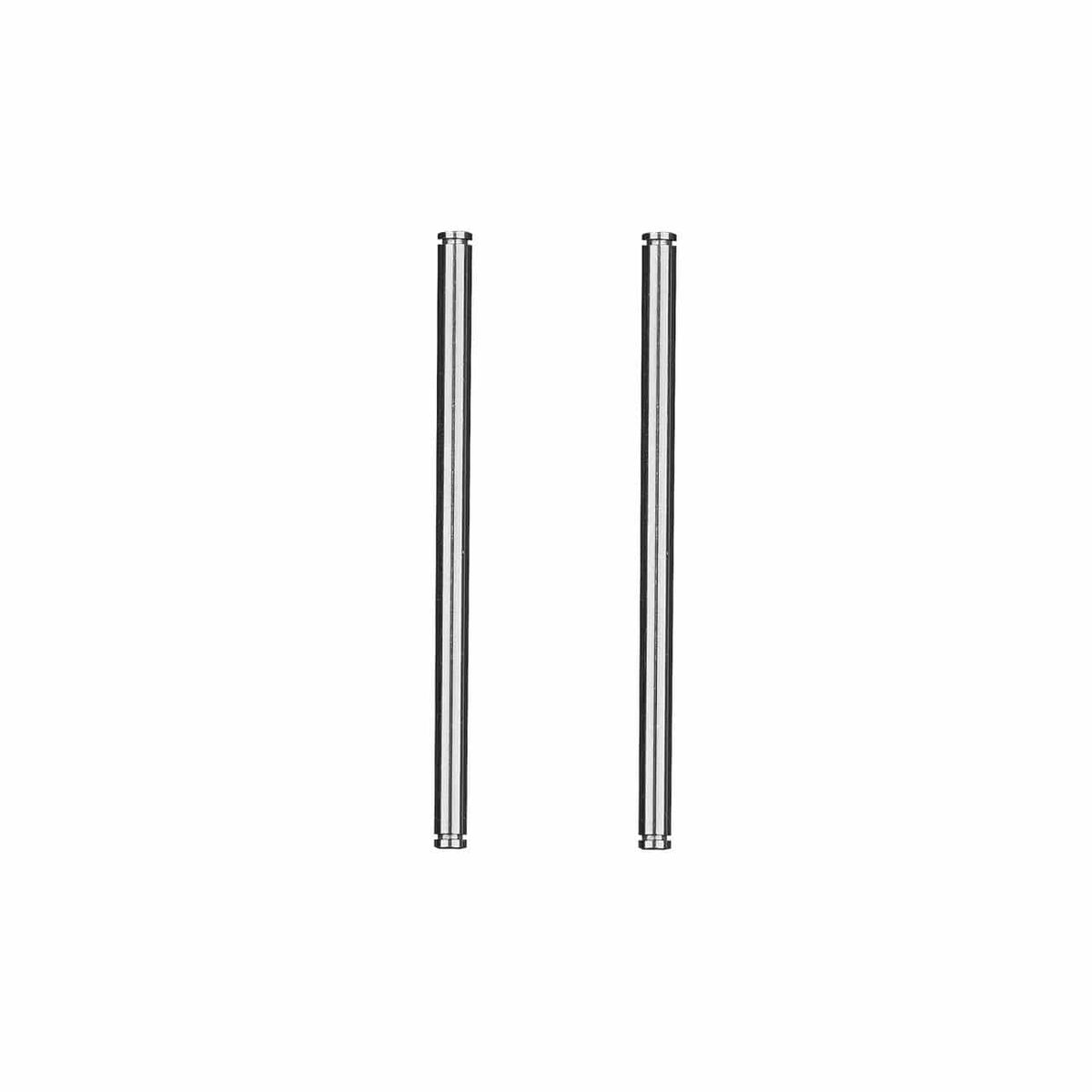 Team Associated RC10 ''91 Stealth Car Rear Inner Hinge Pins [6784]