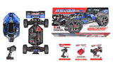 Team Corally Asuga XLR 6S RC Buggy RTR - Blue [C - 00288 - B] - Hobbytech Toys