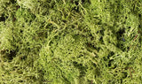 Woodland Scenics L162 Lichen Light Green Woodland Scenics TRAINS - SCENERY