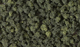 Woodland Scenics FC149 Bushes Forest Blend Woodland Scenics TRAINS - SCENERY