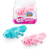 ZURU Pet's Alive Swimming Axolotl - Assorted (1)
