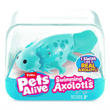ZURU Pet's Alive Swimming Axolotl - Assorted (1)