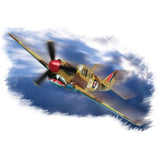 HobbyBoss 1/72 P-40M Kitty hawk Plastic Model Kit [80251] - Hobbytech Toys