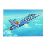 HobbyBoss 1/48 F/A -18D Hornet Plastic Model Kit [80322] - Hobbytech Toys