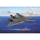 HobbyBoss 1/48 F-14B Tomcat Plastic Model Kit [80367] - Hobbytech Toys